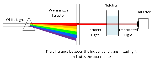 what is a spectrophotometer used for in biology